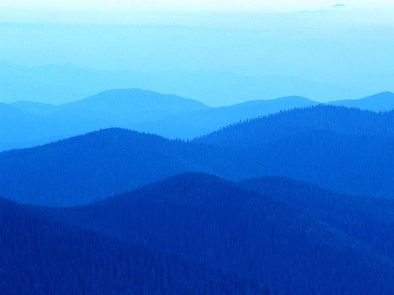 公司风景